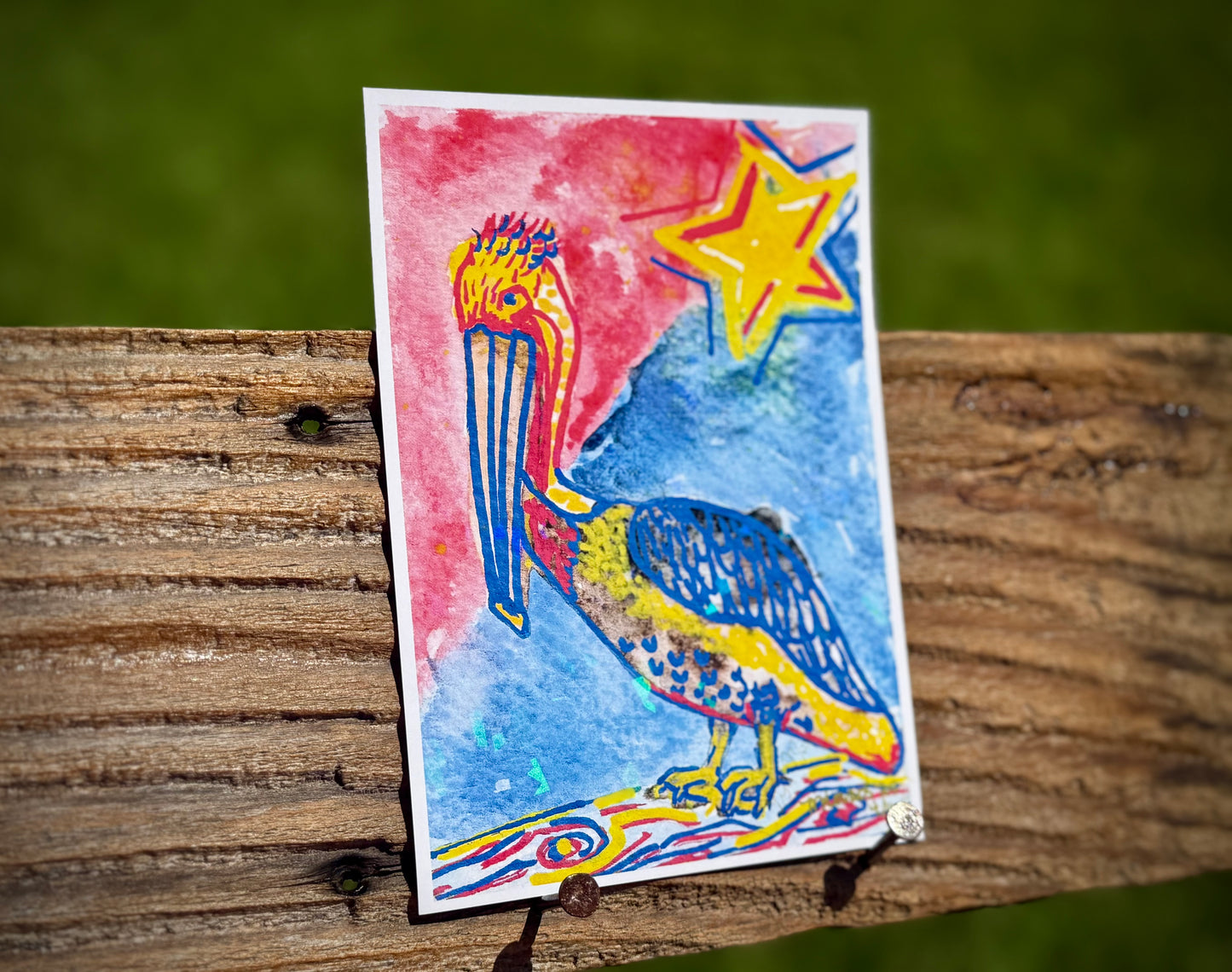 Acadiana Pelican Pride - Print