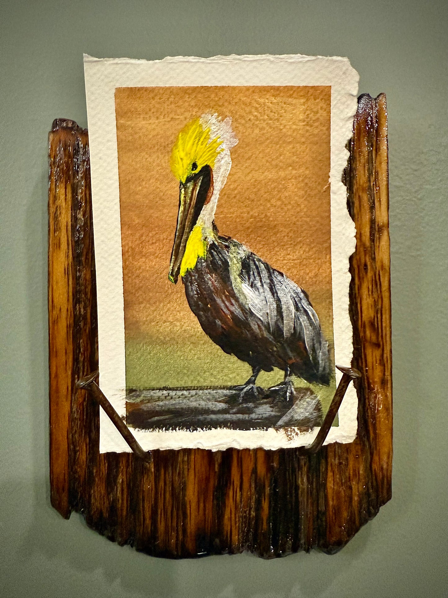 Pelican-ism
