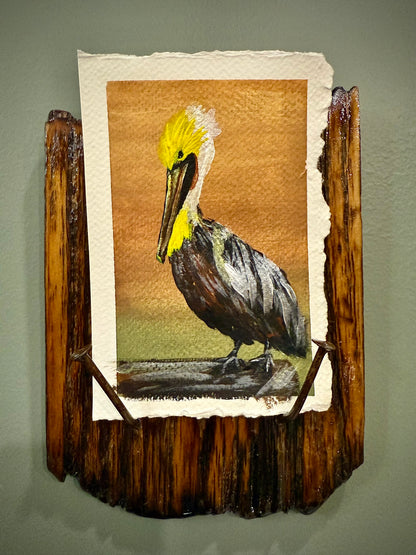 Pelican-ism