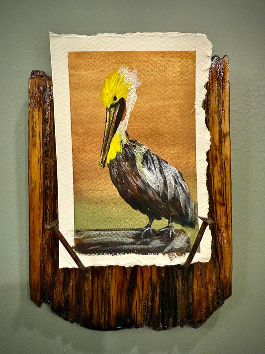 Pelican-ism