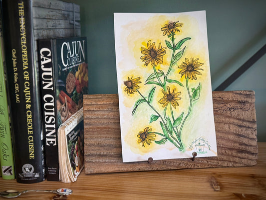Black Eyed Susan