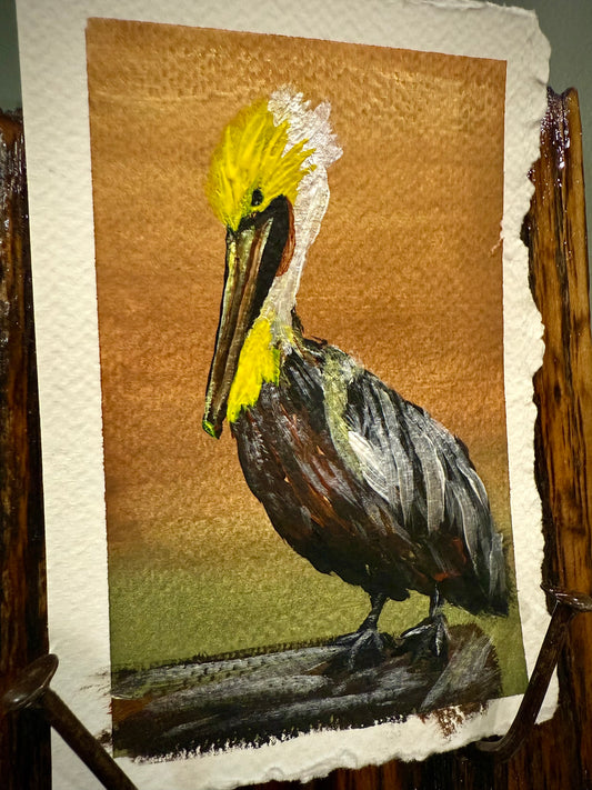 Pelican-ism