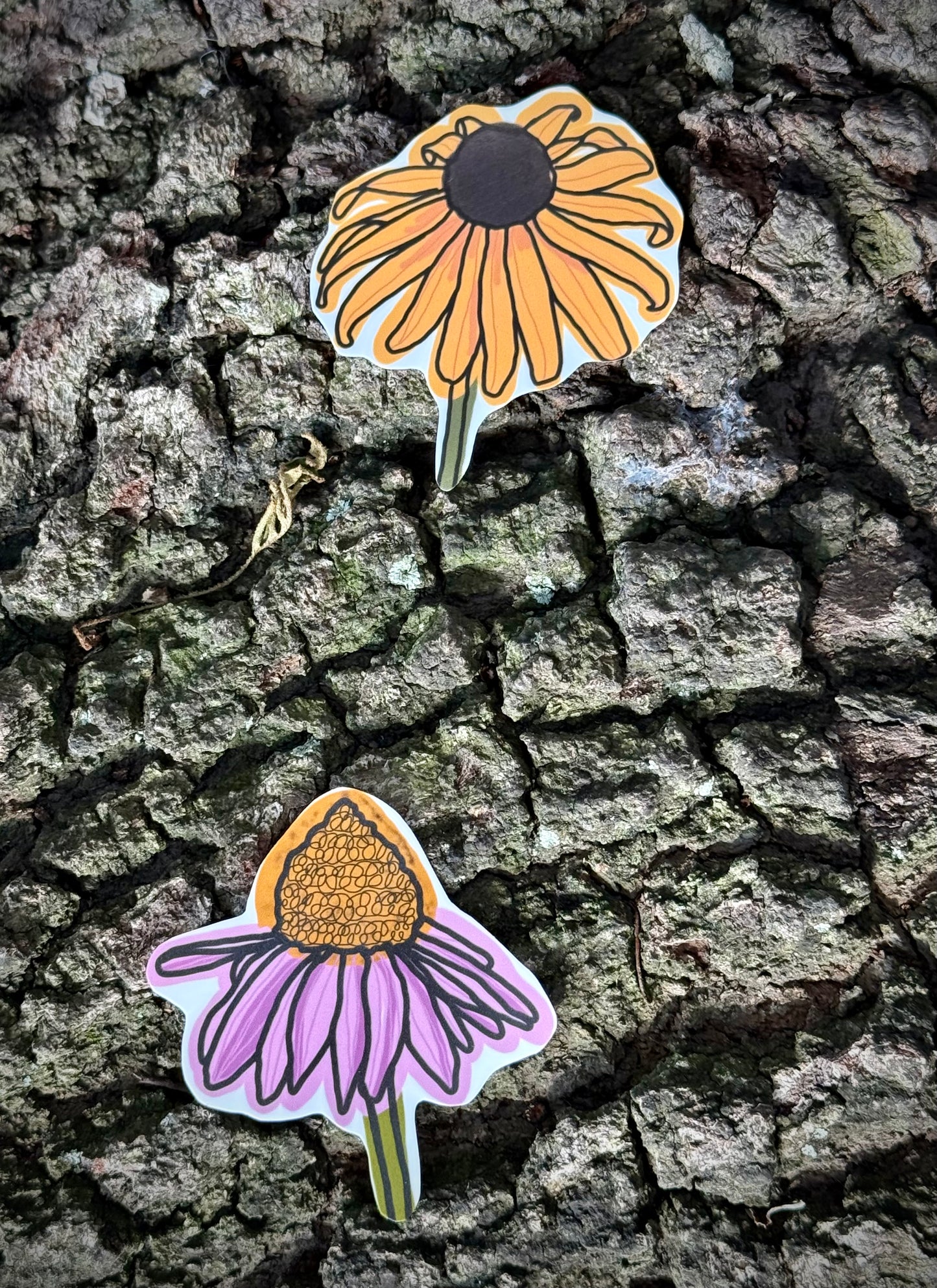 Louisiana Natives Sticker