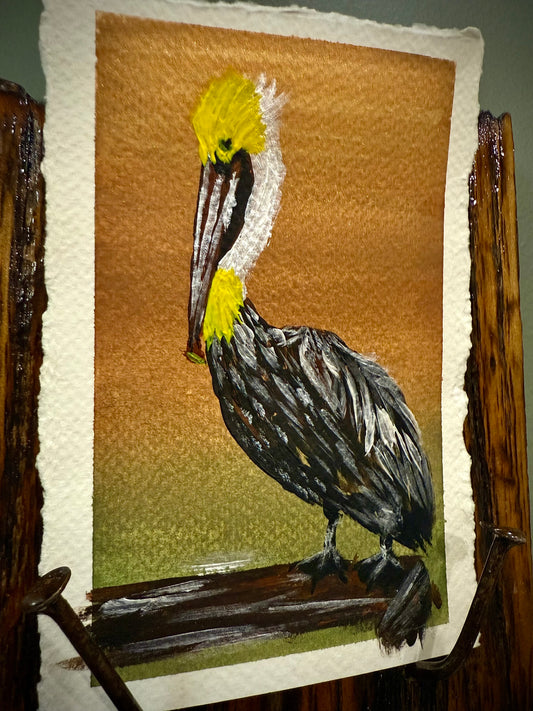 Pelican-ism