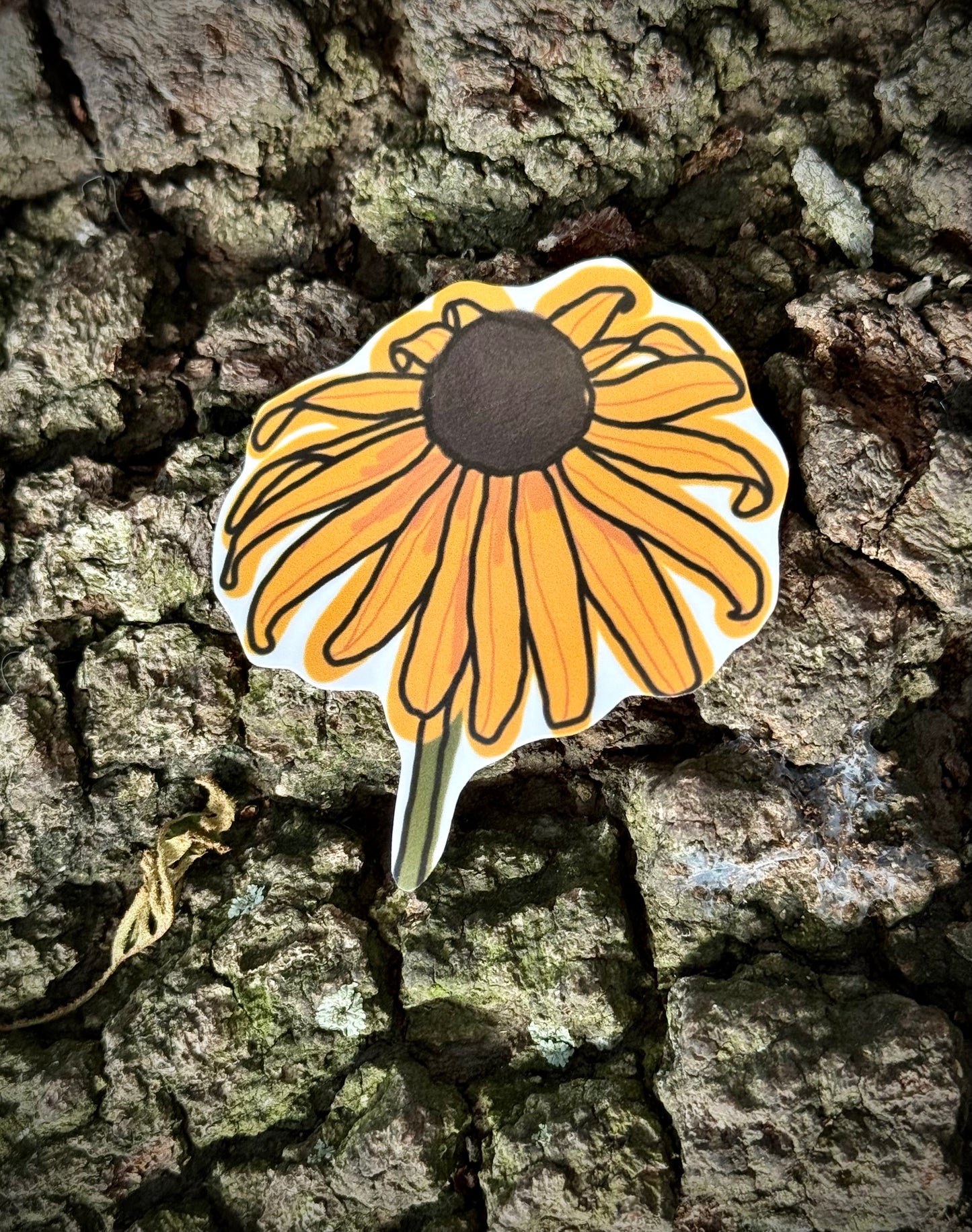 Louisiana Natives Sticker