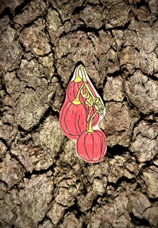Louisiana Pepper Sticker
